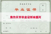 焦作大学毕业证样本图片