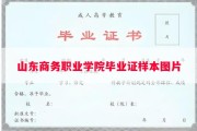 山东商务职业学院毕业证样本图片