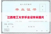 江西理工大学毕业证样本图片