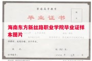 海南东方新丝路职业学院毕业证样本图片