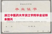 浙江中医药大学滨江学院毕业证样本图片