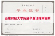 山东财经大学历届毕业证样本图片