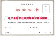 辽宁金融职业学院毕业证样本图片