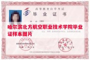 哈尔滨北方航空职业技术学院毕业证样本图片