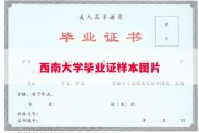 西南大学毕业证样本图片
