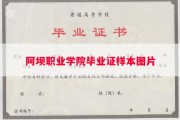 阿坝职业学院毕业证样本图片