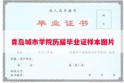 青岛城市学院历届毕业证样本图片