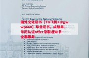 新加坡国立大学毕业证书样本成绩单