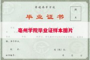 亳州学院毕业证样本图片