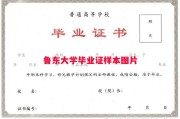 鲁东大学毕业证样本图片