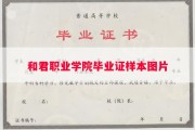 和君职业学院毕业证样本图片