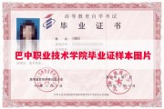 巴中职业技术学院毕业证样本图片