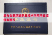 民办合肥滨湖职业技术学院毕业证样本图片