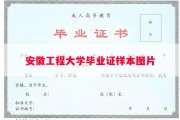 安徽工程大学毕业证样本图片
