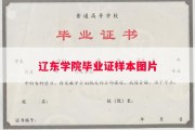 辽东学院毕业证样本图片