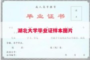 湖北大学毕业证样本图片