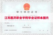 江苏医药职业学院毕业证样本图片
