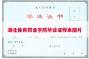 湖北体育职业学院毕业证样本图片
