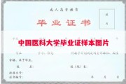 中国医科大学毕业证样本图片