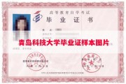 青岛科技大学毕业证样本图片