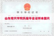 山东现代学院历届毕业证样本图片
