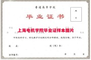 上海电机学院毕业证样本图片