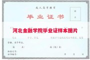 河北金融学院毕业证样本图片