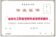 山东化工职业学院毕业证样本图片
