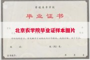 北京农学院毕业证样本图片