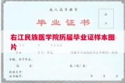 右江民族医学院历届毕业证样本图片