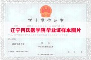 辽宁何氏医学院毕业证样本图片