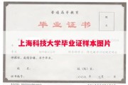 上海科技大学毕业证样本图片