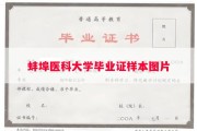 蚌埠医科大学毕业证样本图片