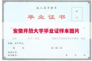 安徽开放大学毕业证样本图片