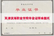 天津滨海职业学院毕业证样本图片