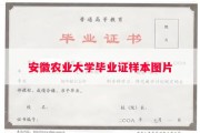 安徽农业大学毕业证样本图片