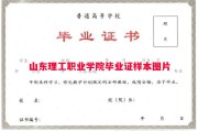 山东理工职业学院毕业证样本图片