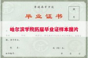 哈尔滨学院历届毕业证样本图片