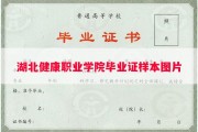 湖北健康职业学院毕业证样本图片