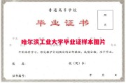 哈尔滨工业大学毕业证样本图片