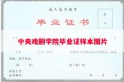 中央戏剧学院毕业证样本图片