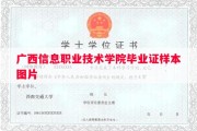 广西信息职业技术学院毕业证样本图片