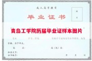 青岛工学院历届毕业证样本图片