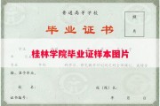 桂林学院毕业证样本图片