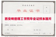 西安明德理工学院毕业证样本图片