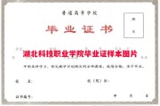 湖北科技职业学院毕业证样本图片