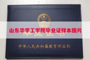 山东华宇工学院毕业证样本图片