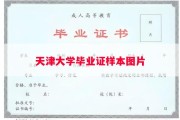 天津大学毕业证样本图片