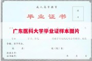 广东医科大学毕业证样本图片