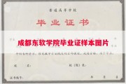 成都东软学院毕业证样本图片